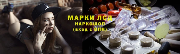 прущие грибы Богданович