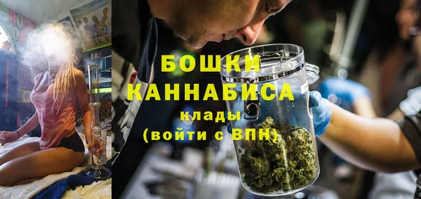 ECSTASY Богородицк