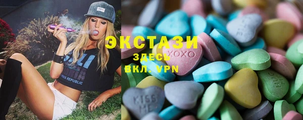 ECSTASY Богородицк